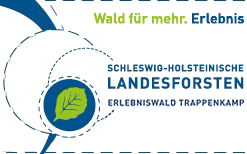 Logo-trappenkamp in
